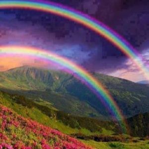 Meet your Posher, Jeanette